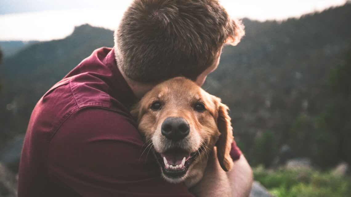 Unsplash | Eric Ward