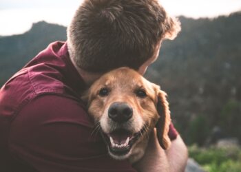 Unsplash | Eric Ward