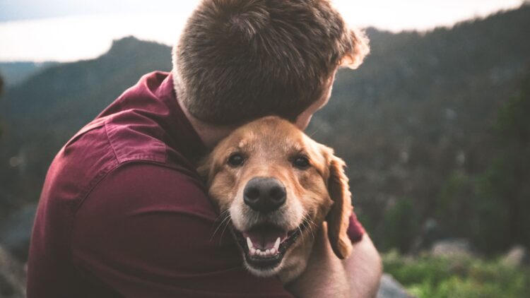 Unsplash | Eric Ward