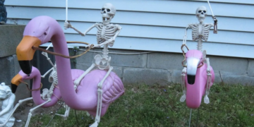 Facebook | We Love Skulls and Skeletons