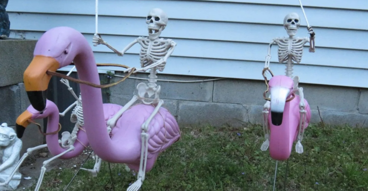 Facebook | We Love Skulls and Skeletons