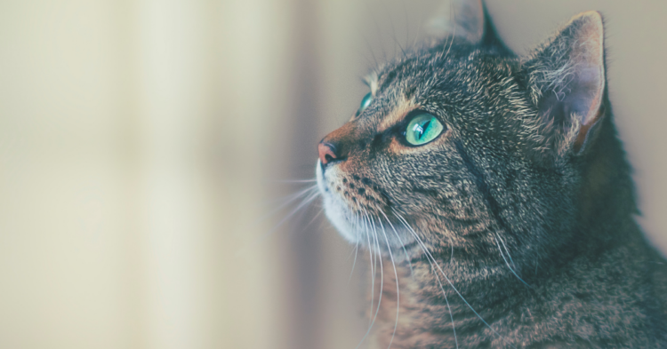 Unsplash | James Sutton