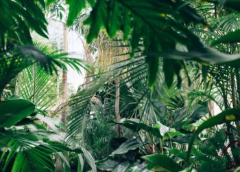 Unsplash