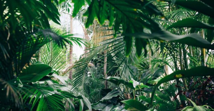 Unsplash