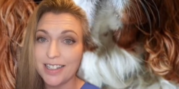 TikTok | @cat_the_vet