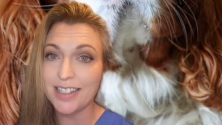 TikTok | @cat_the_vet