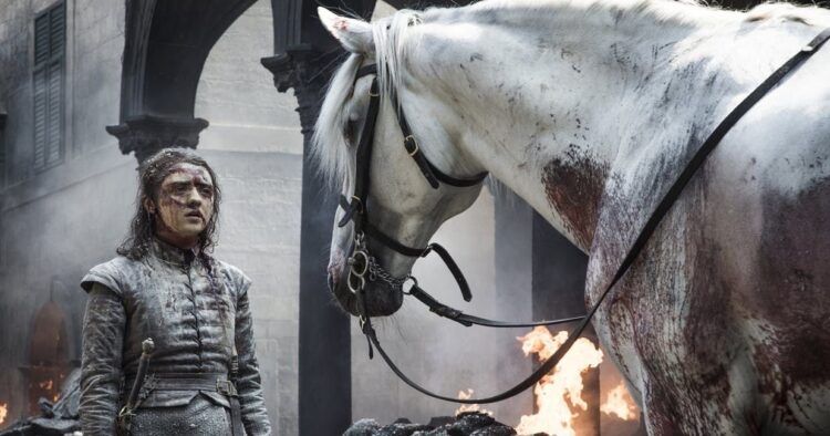 HBO