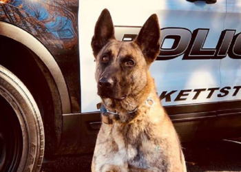 Facebook | Hackettstown Police Department