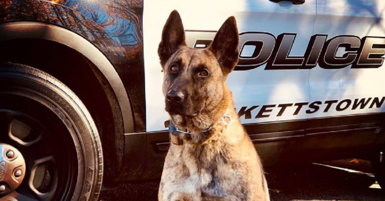 Facebook | Hackettstown Police Department