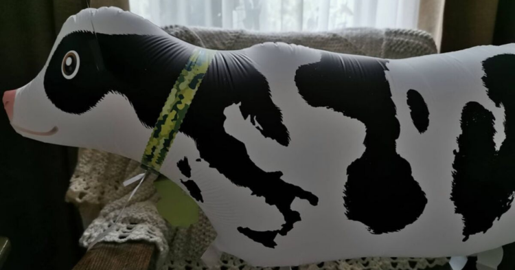 Reddit | burmalon