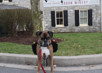 Facebook | Stone House Urban Winery