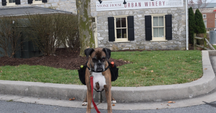 Facebook | Stone House Urban Winery