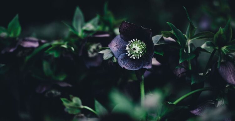 Unsplash