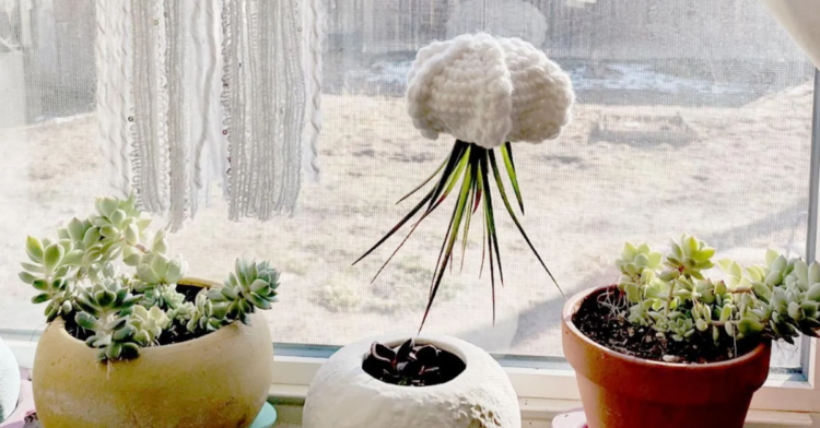 Etsy | HELLOhappy