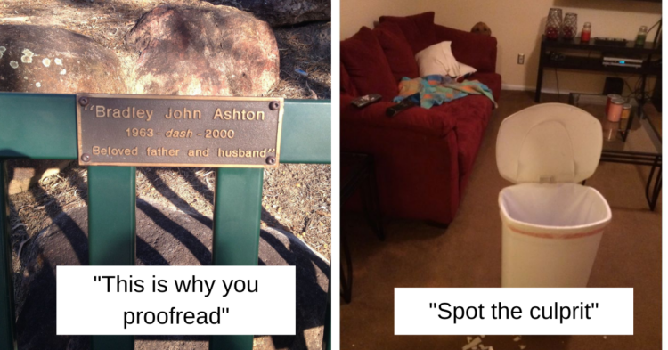 Reddit