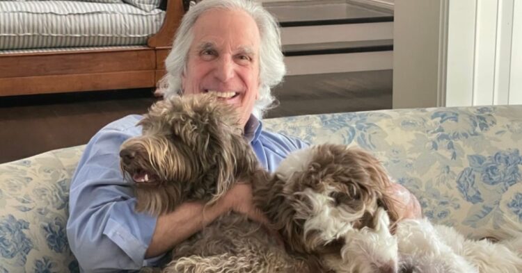 Twitter | @hwinkler4real