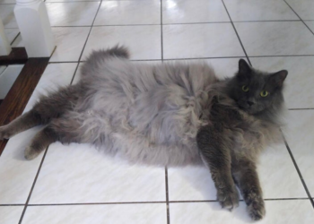 Reddit | spacetacocats