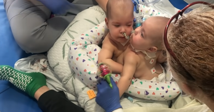 Facebook | The Children's Hospital of Philadelphia
