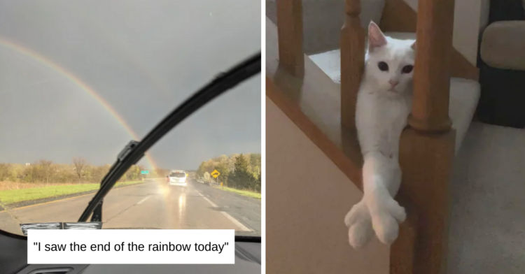 Reddit