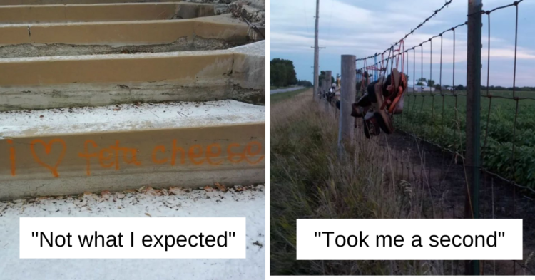 Reddit