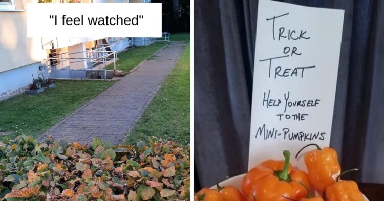 Reddit