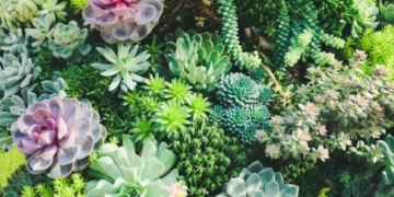 Unsplash