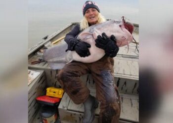 Facebook | Tennessee Wildlife Resources Agency