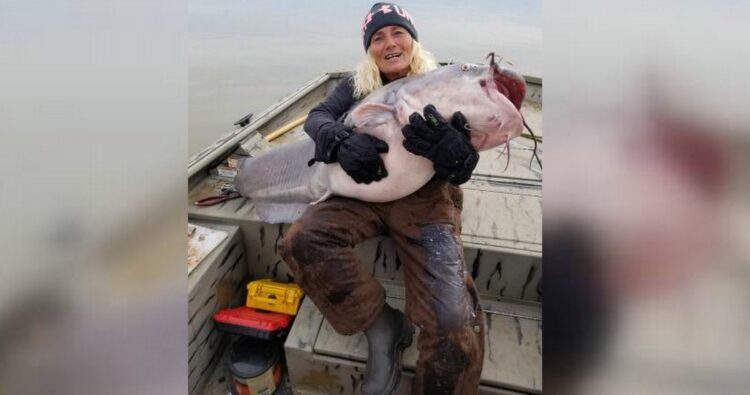 Facebook | Tennessee Wildlife Resources Agency