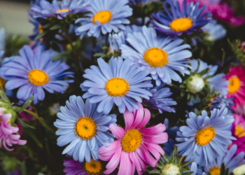 Unsplash