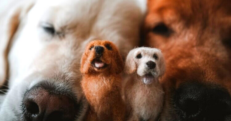 Little Felted Friend