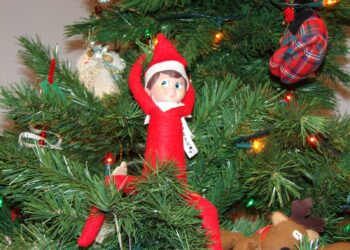 Wikimedia | https://commons.wikimedia.org/wiki/File:Elf_on_the_Shelf_poses_01.JPG