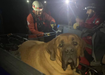 Facebook | Salt Lake County Sheriff's Search and Rescue