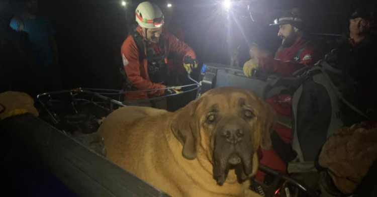 Facebook | Salt Lake County Sheriff's Search and Rescue