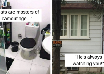 Reddit