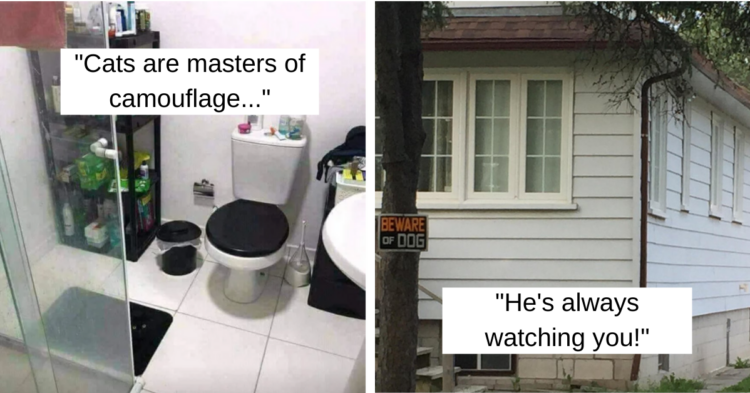 Reddit