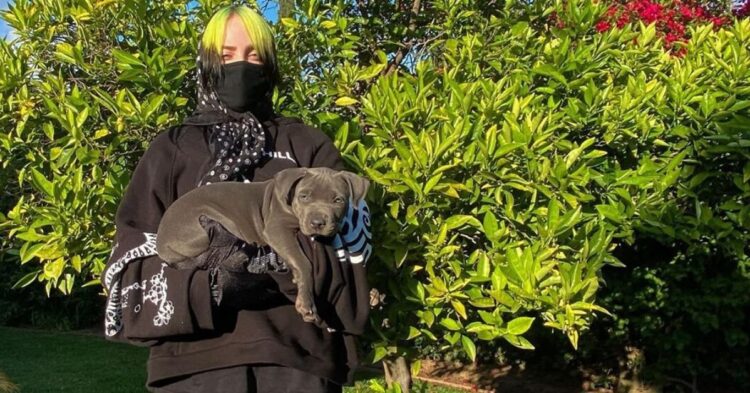 Instagram | @billieeilish