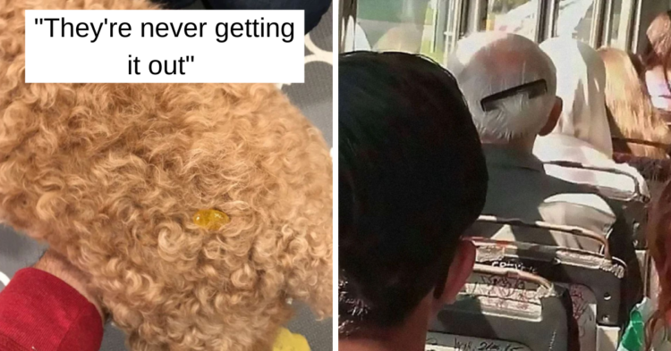 Reddit