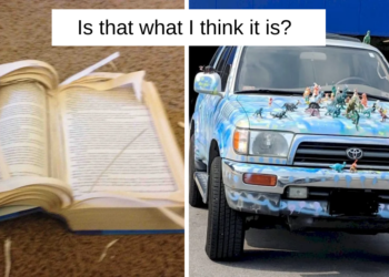 Reddit