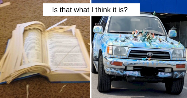 Reddit