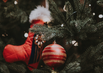 Unsplash | Annie Spratt