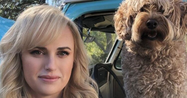 Instagram | @rebelwilson