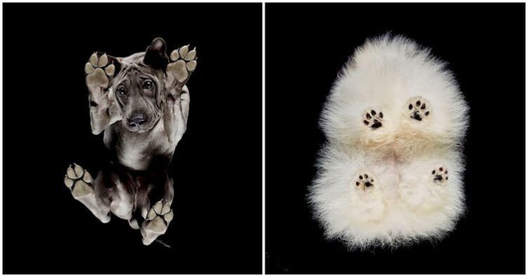Instagram | @ underlook_project
