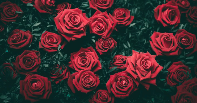 Unsplash