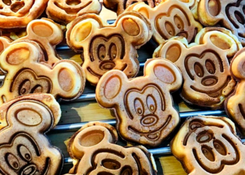 Instagram | @disneyfanwanderlust