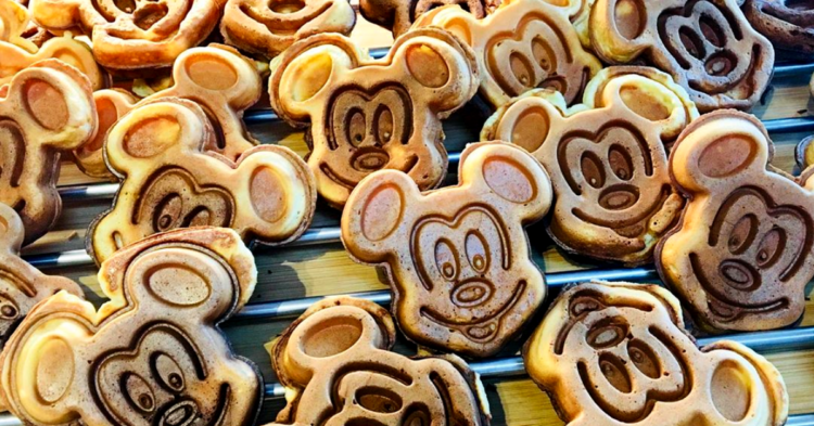 Instagram | @disneyfanwanderlust