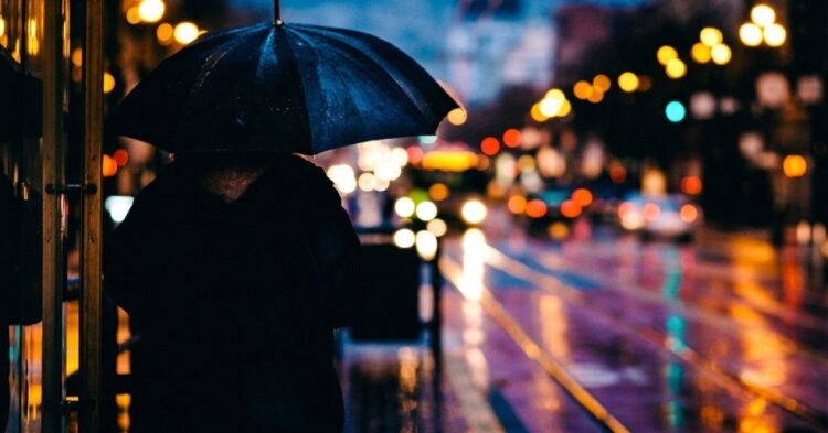 Unsplash | Todd Diemer