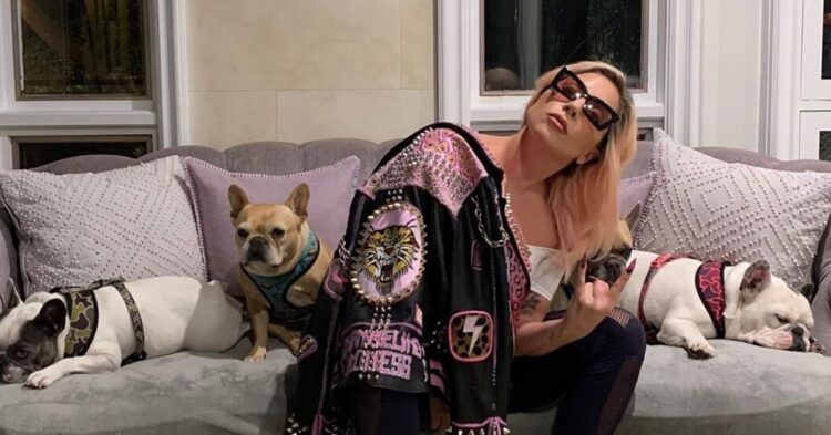 Instagram | @ladygaga