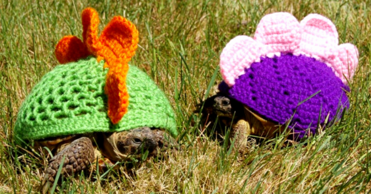 Etsy | MossyTortoise