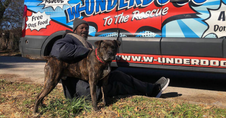 w-underdogs