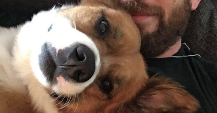 Instagram | @chrisevans